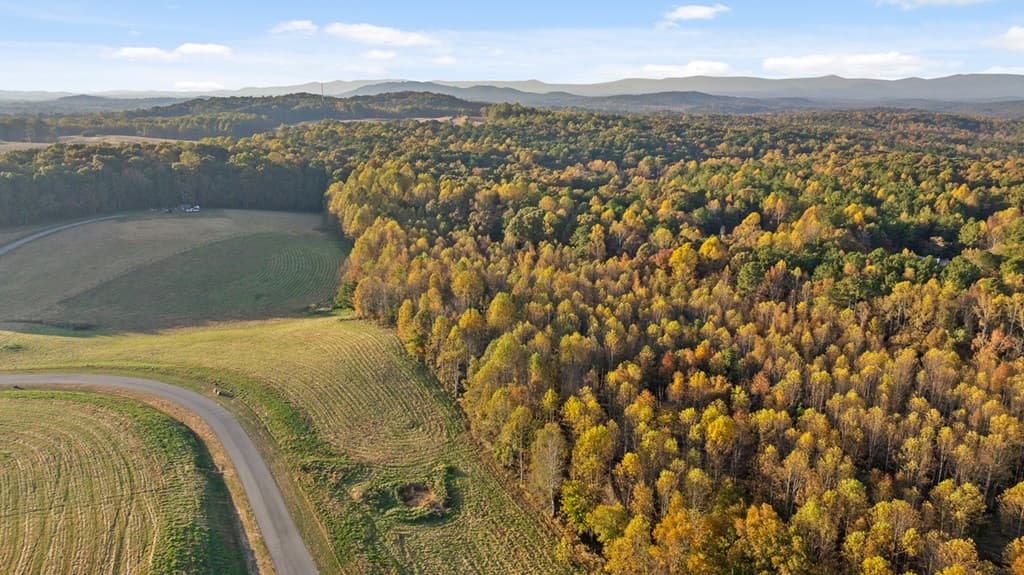 Lot 24 Bravo Way, Talking Rock GA 30175 - Photo