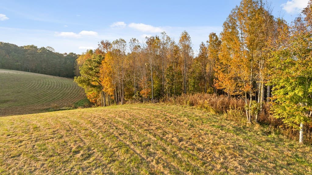 Lot 24 Bravo Way, Talking Rock GA 30175 - Photo