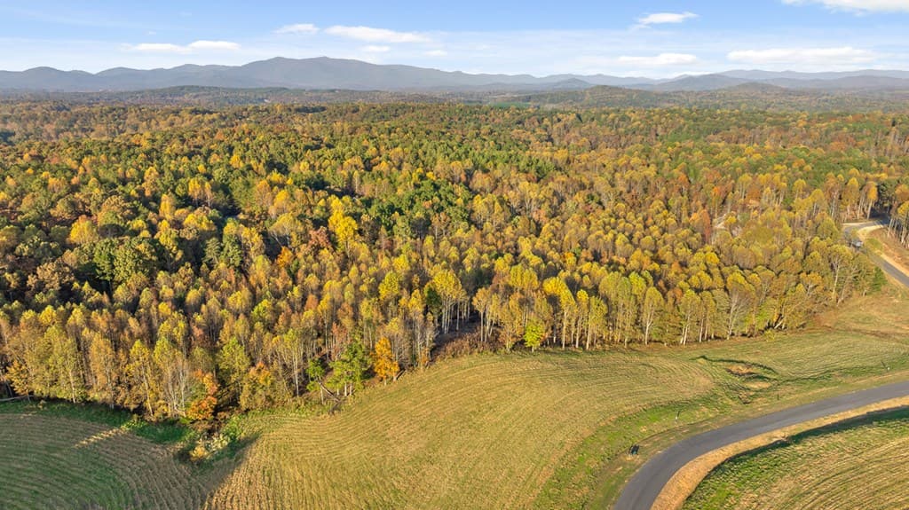 Lot 24 Bravo Way, Talking Rock GA 30175 - Photo