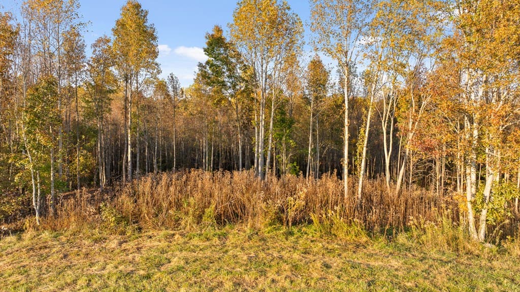 Lot 24 Bravo Way, Talking Rock GA 30175 - Photo