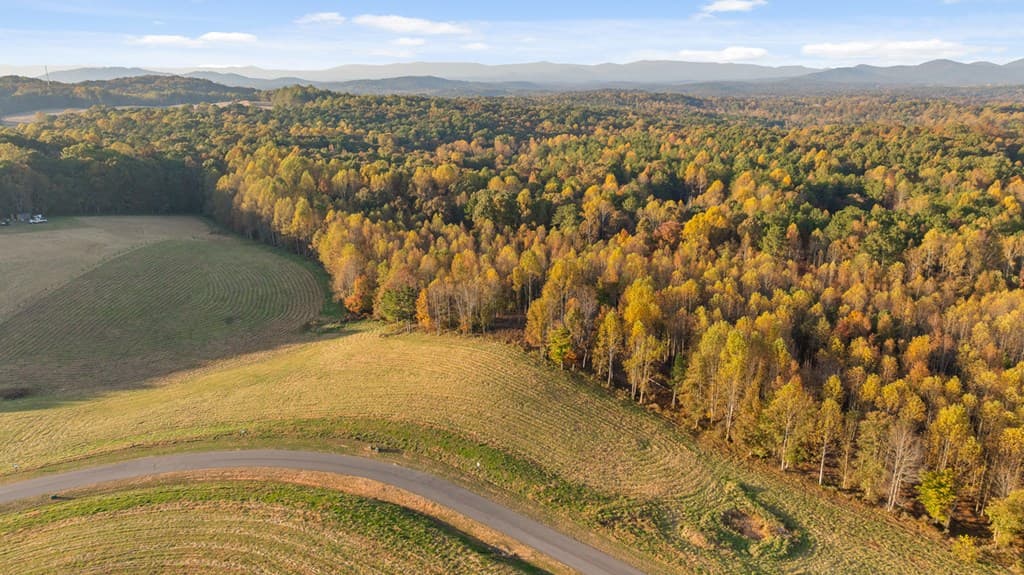 Lot 24 Bravo Way, Talking Rock GA 30175 - Photo