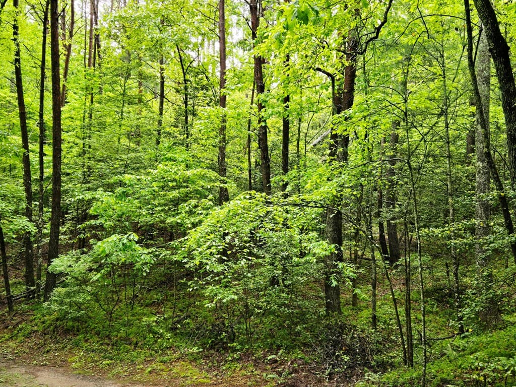 H7 River Sound Village, Hayesville NC 28904 - Photo