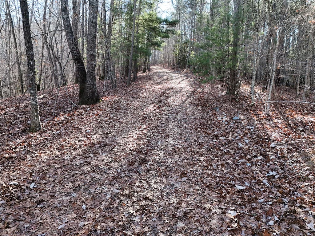 Tract D Carriage Lane Nw, Blairsville GA 30512 - Photo