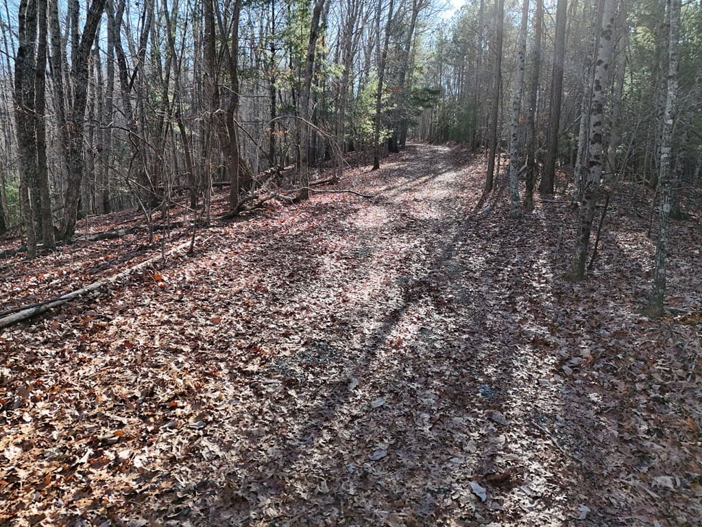 Tract D Carriage Lane Nw, Blairsville GA 30512 - Photo