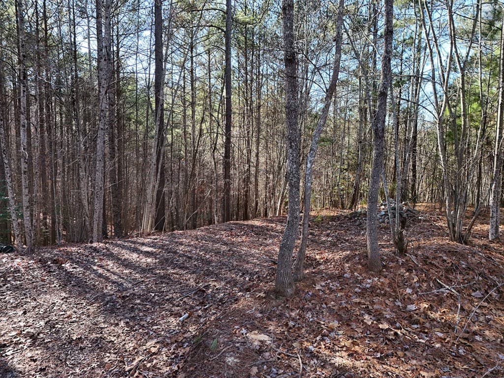 Tract D Carriage Lane Nw, Blairsville GA 30512 - Photo