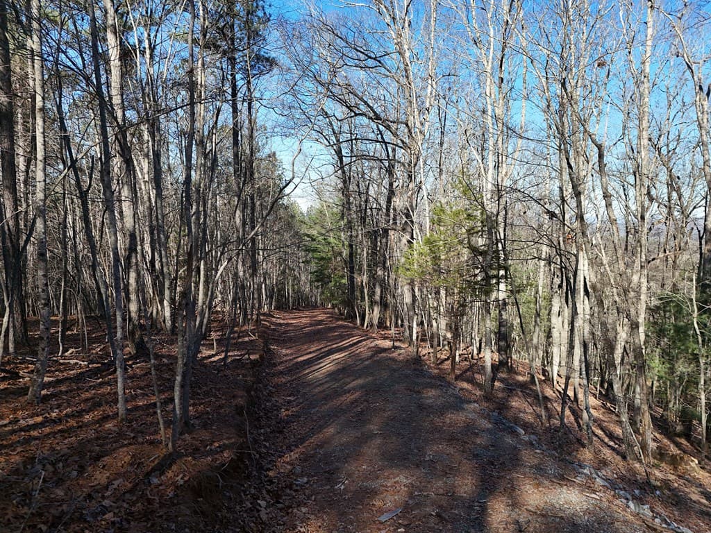 Tract D Carriage Lane Nw, Blairsville GA 30512 - Photo