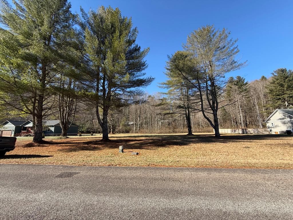 Lot 77 Big Pine Drive, Hiawassee GA 30546 - Primary photo