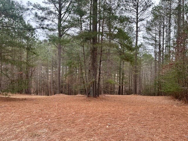 Lot 48 The Sanctuary, Blairsville GA 30512 - Photo