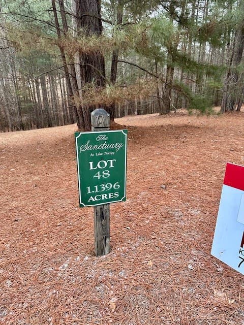 Lot 48 The Sanctuary, Blairsville GA 30512 - Photo