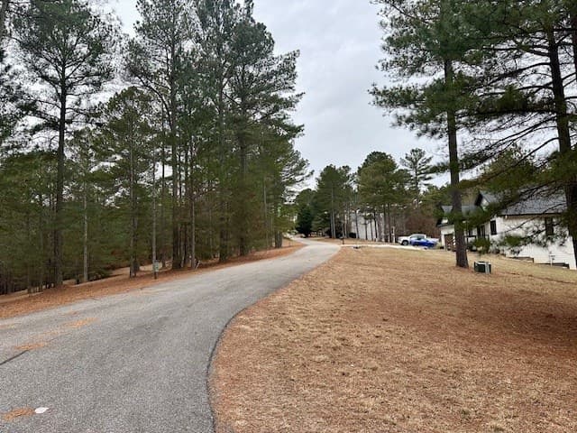 Lot 48 The Sanctuary, Blairsville GA 30512 - Photo