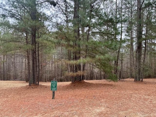 Lot 48 The Sanctuary, Blairsville GA 30512 - Primary photo