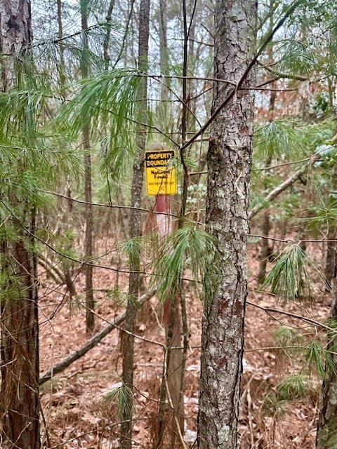 Lot 48 The Sanctuary, Blairsville GA 30512 - Photo