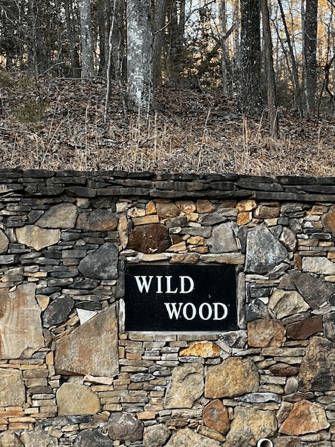 Lot 18 Hidden Branch Drive, Young Harris GA 30582 - Photo