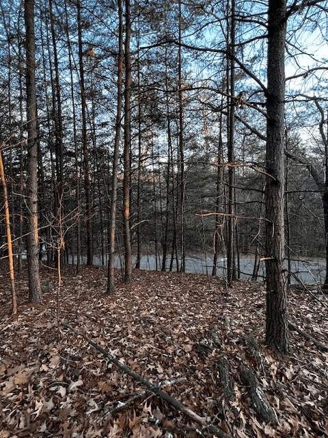 Lot 18 Hidden Branch Drive, Young Harris GA 30582 - Photo