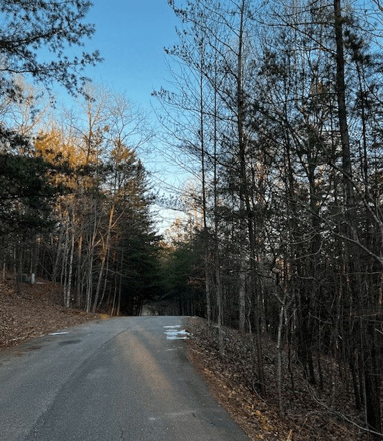 Lot 18 Hidden Branch Drive, Young Harris GA 30582 - Photo