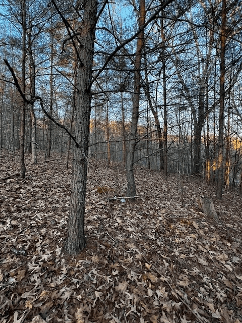 Lot 18 Hidden Branch Drive, Young Harris GA 30582 - Photo