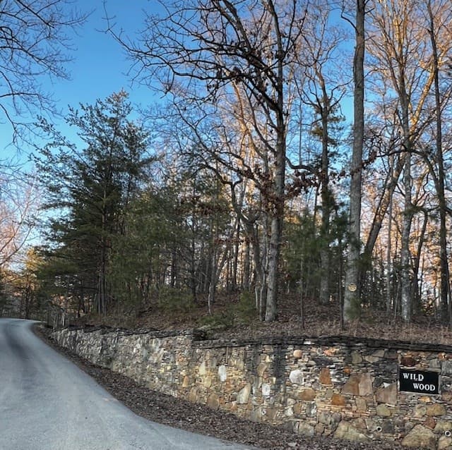 Lot 18 Hidden Branch Drive, Young Harris GA 30582 - Photo