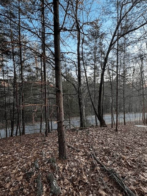 Lot 18 Hidden Branch Drive, Young Harris GA 30582 - Photo