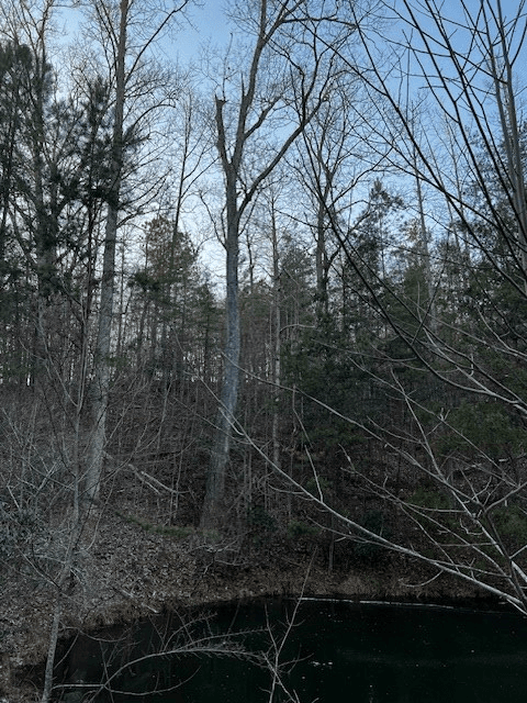 Lot 18 Hidden Branch Drive, Young Harris GA 30582 - Photo