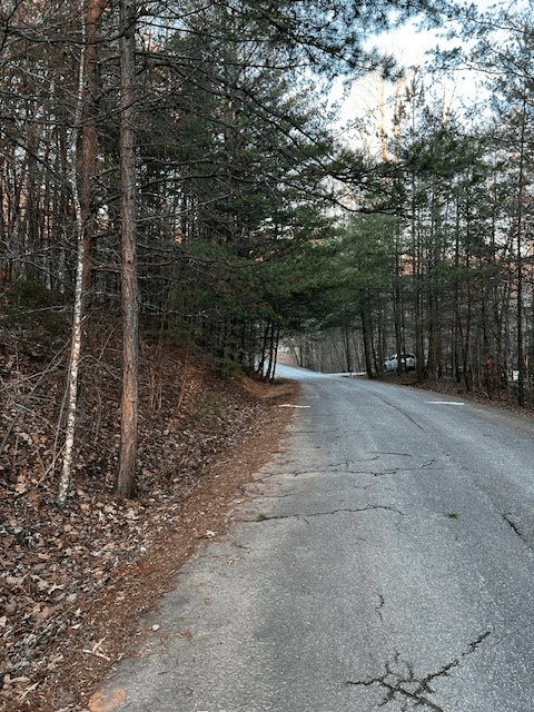 Lot 18 Hidden Branch Drive, Young Harris GA 30582 - Photo