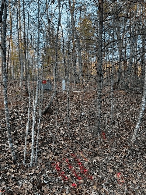 Lot 18 Hidden Branch Drive, Young Harris GA 30582 - Photo