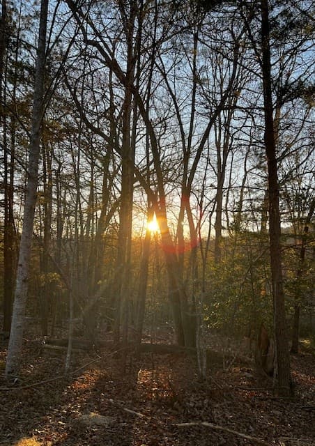 Lot 18 Hidden Branch Drive, Young Harris GA 30582 - Photo
