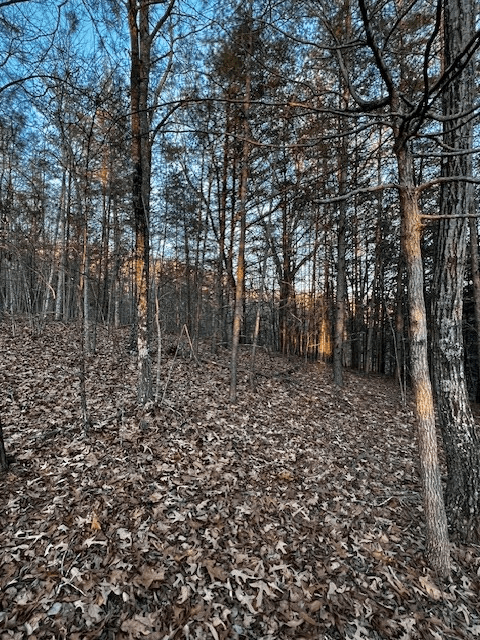 Lot 18 Hidden Branch Drive, Young Harris GA 30582 - Photo