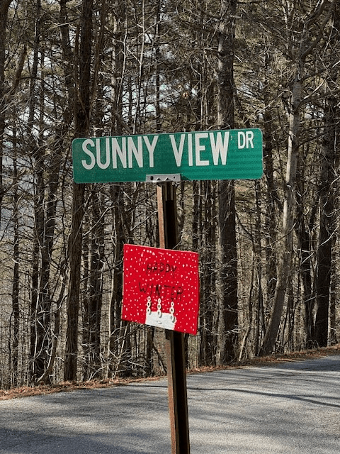 Lot 54 Sunny View Drive, Blairsville GA 30512 - Photo