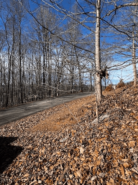 Lot 54 Sunny View Drive, Blairsville GA 30512 - Photo
