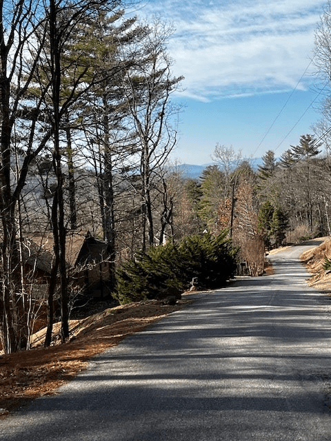 Lot 54 Sunny View Drive, Blairsville GA 30512 - Photo