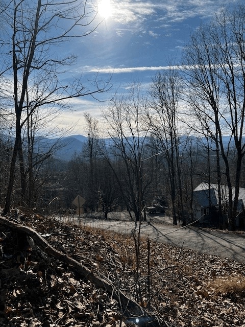 Lot 54 Sunny View Drive, Blairsville GA 30512 - Photo