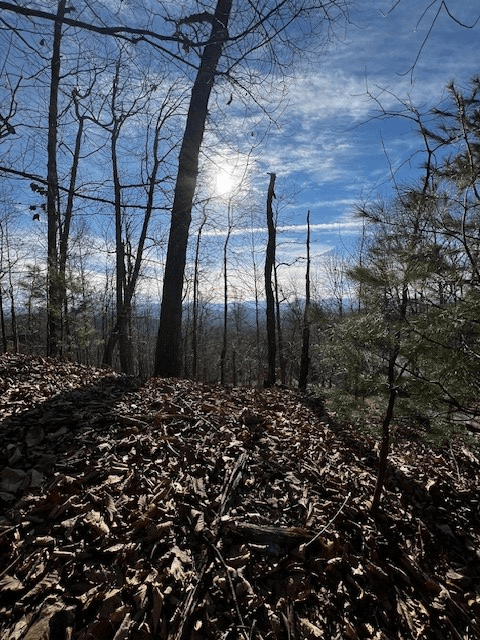 Lot 54 Sunny View Drive, Blairsville GA 30512 - Photo