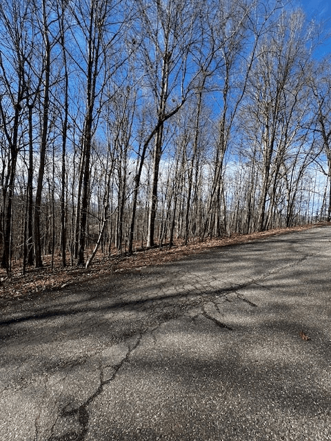 Lot 54 Sunny View Drive, Blairsville GA 30512 - Photo