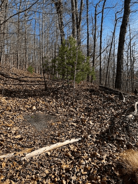 Lot 54 Sunny View Drive, Blairsville GA 30512 - Photo
