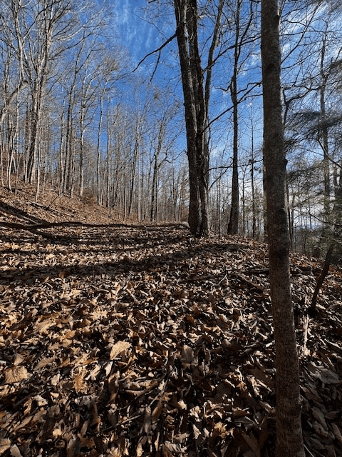 Lot 54 Sunny View Drive, Blairsville GA 30512 - Photo