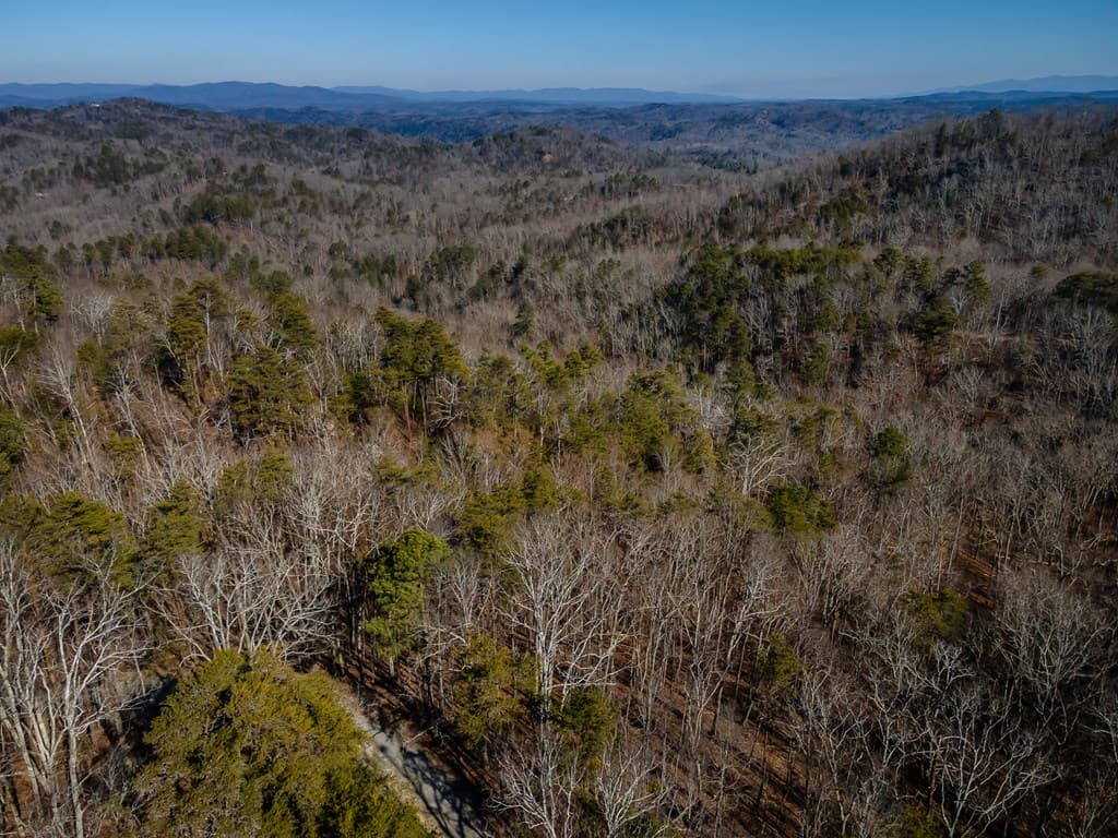4.78 Ac Bell Court, Ranger GA 30701 - Photo