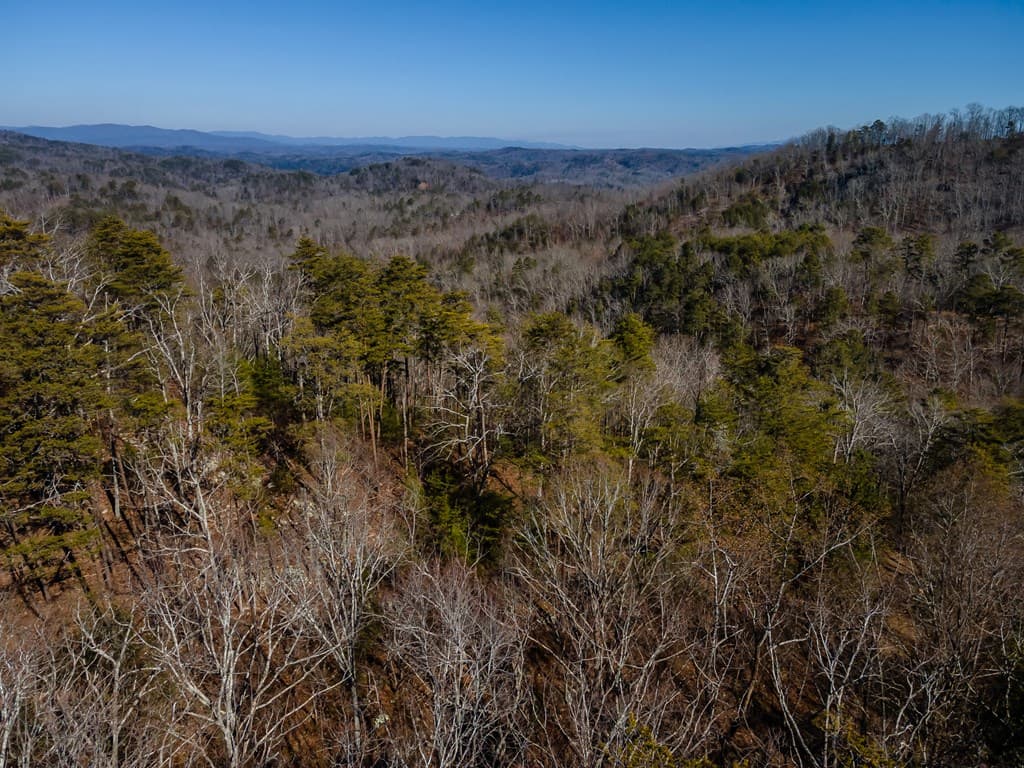 4.78 Ac Bell Court, Ranger GA 30701 - Photo