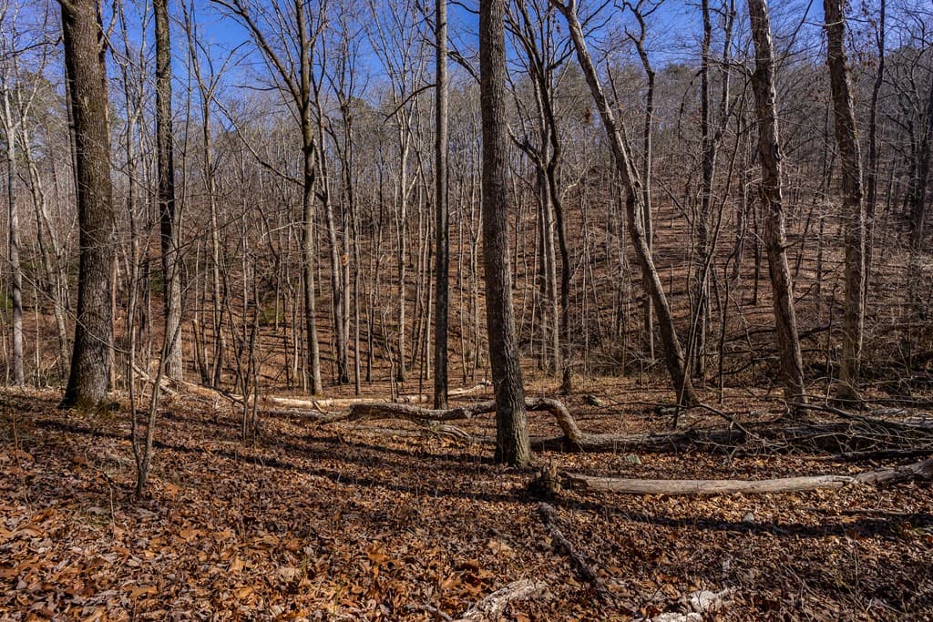 4.78 Ac Bell Court, Ranger GA 30701 - Photo