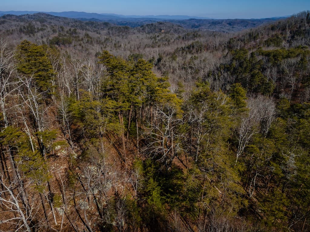 4.78 Ac Bell Court, Ranger GA 30701 - Photo