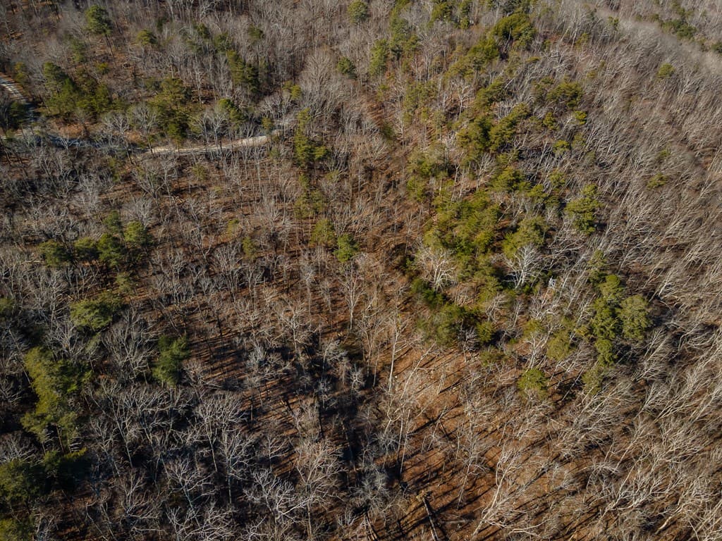4.78 Ac Bell Court, Ranger GA 30701 - Photo