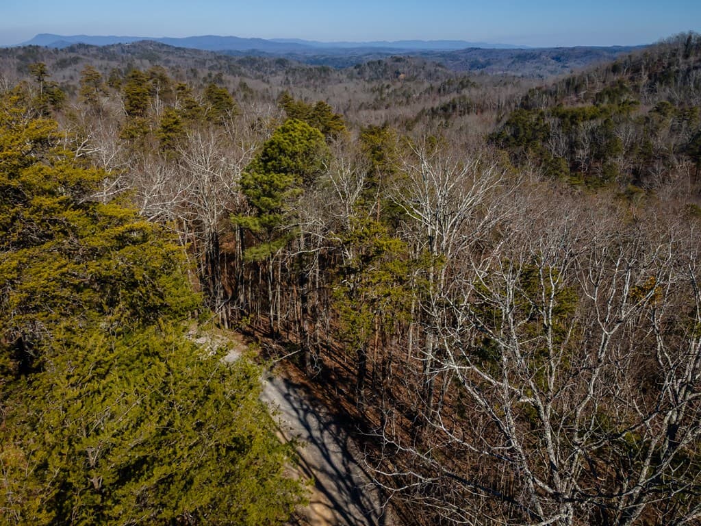 4.78 Ac Bell Court, Ranger GA 30701 - Photo
