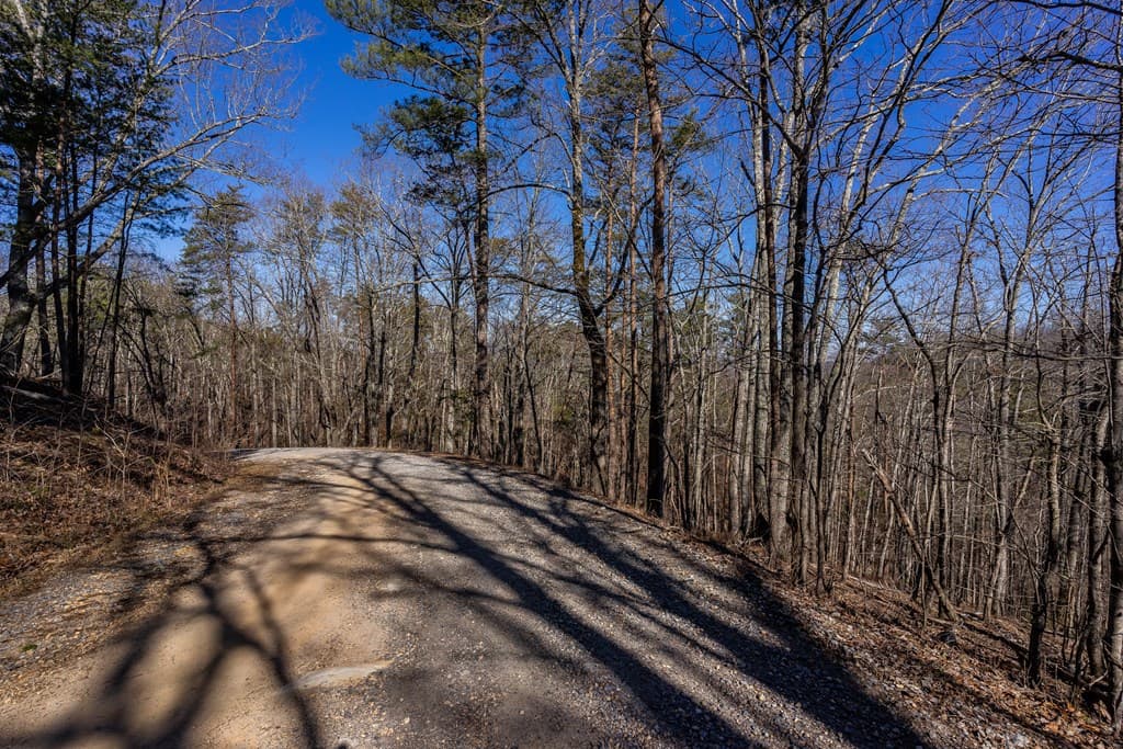 4.78 Ac Bell Court, Ranger GA 30701 - Photo