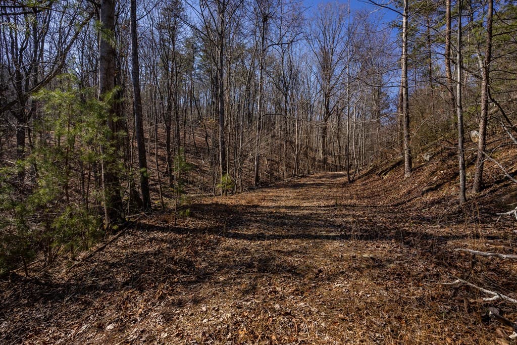 4.78 Ac Bell Court, Ranger GA 30701 - Photo