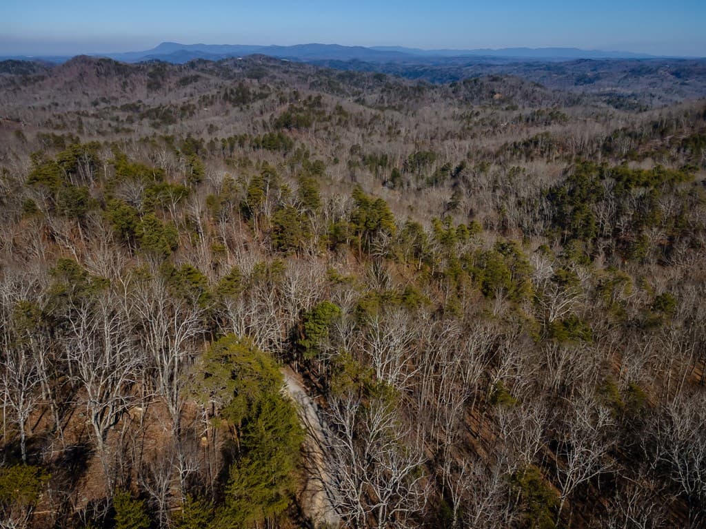 4.78 Ac Bell Court, Ranger GA 30701 - Photo