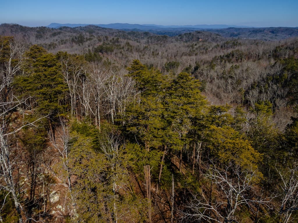 4.78 Ac Bell Court, Ranger GA 30701 - Photo