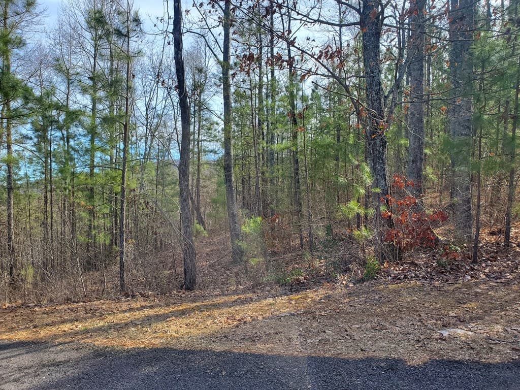 lot 25 Meadow Brooke, Young Harris GA 30582 - Photo