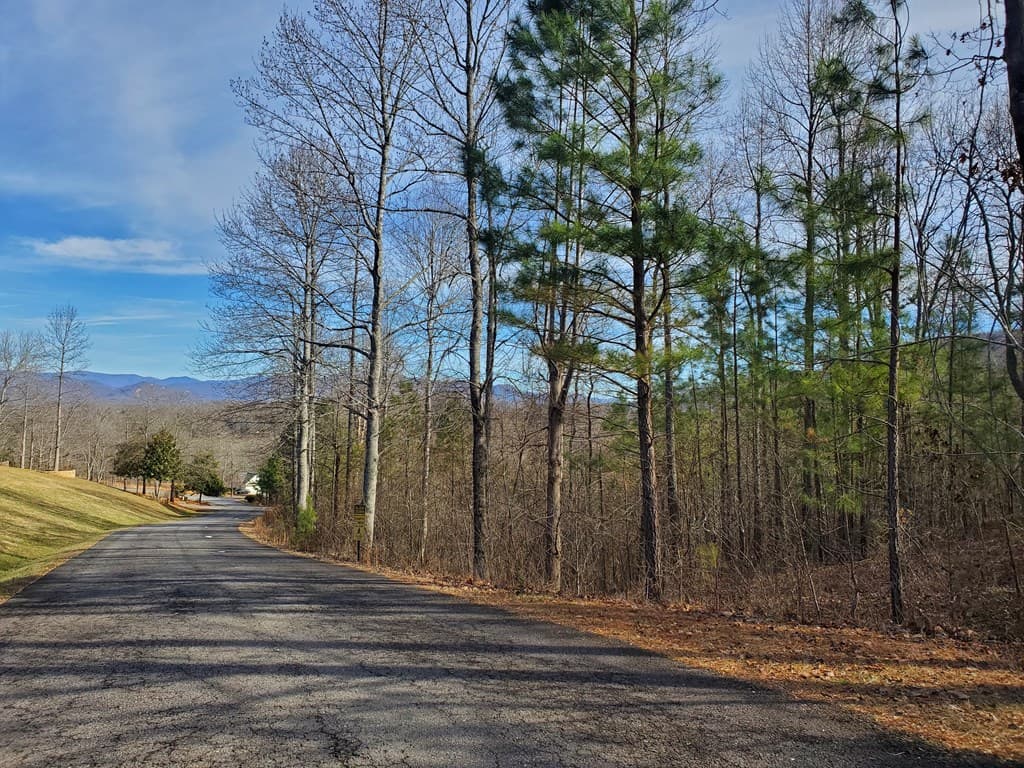 lot 25 Meadow Brooke, Young Harris GA 30582 - Photo