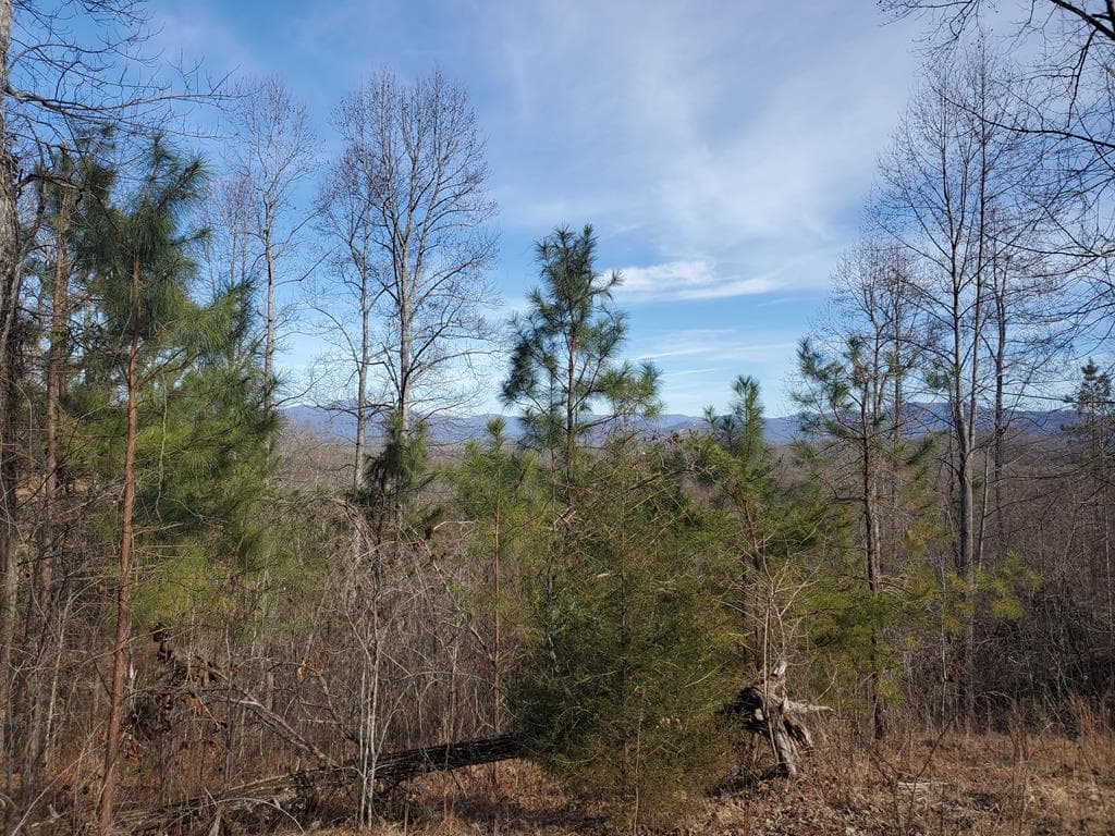 lot 25 Meadow Brooke, Young Harris GA 30582 - Primary photo