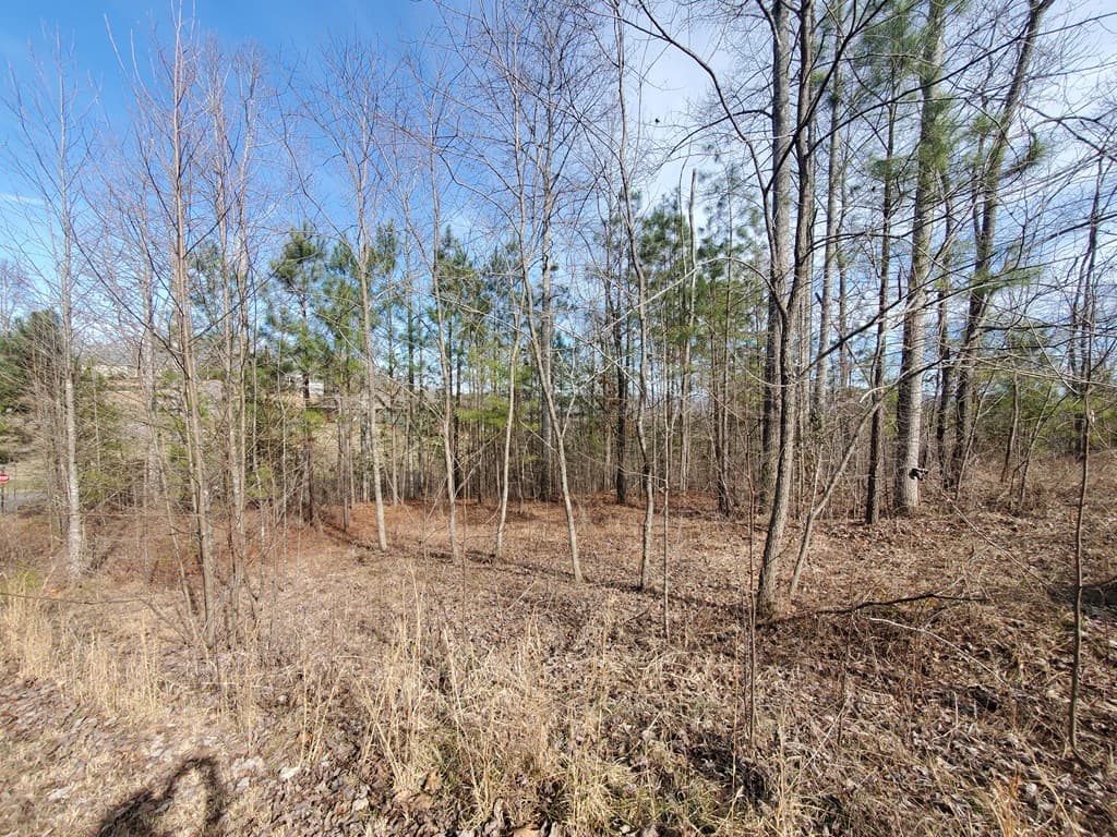 lot 25 Meadow Brooke, Young Harris GA 30582 - Photo