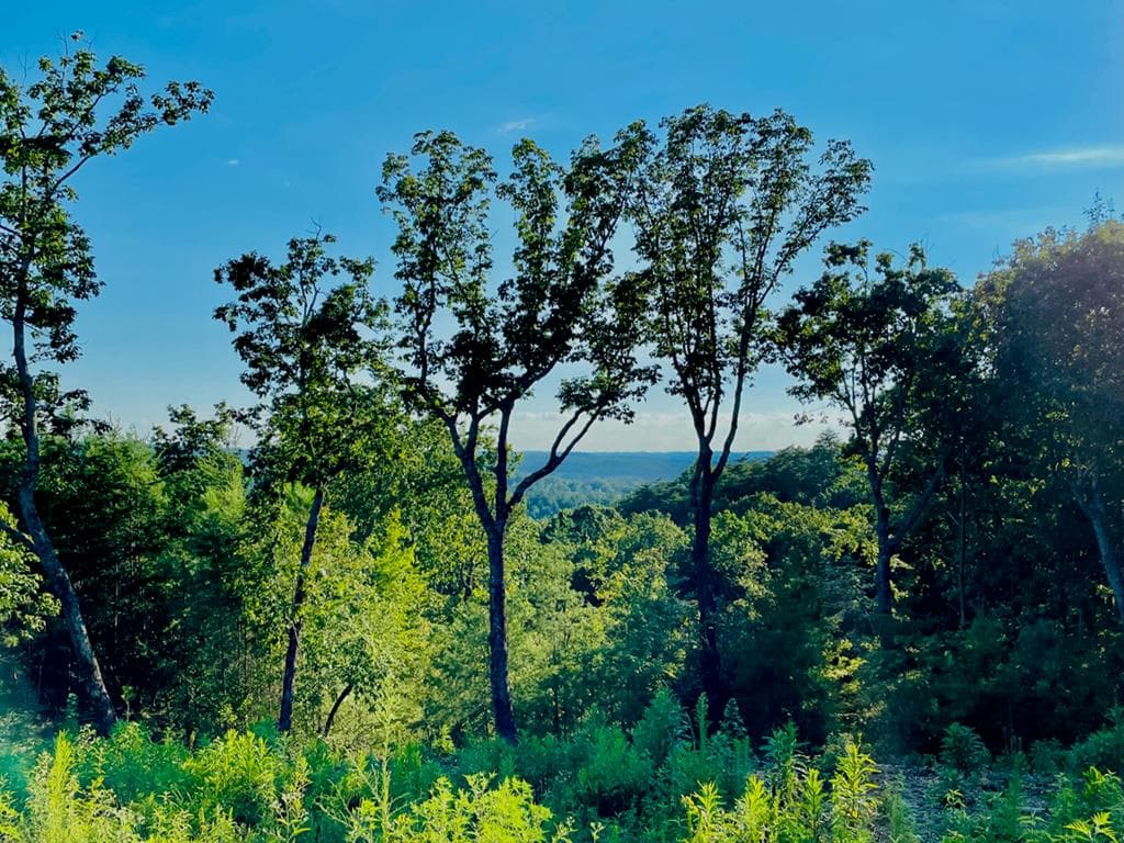 655 Lookout Valley Trail, Talking Rock GA 30175 - Photo